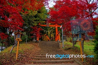 Torii Gate To Chureito Pagoda Stock Photo