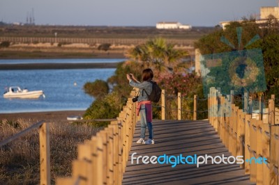 Tourist Photographing Beach Landscape Stock Photo