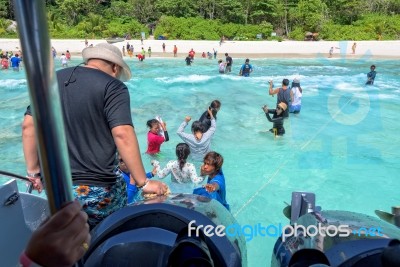 Tourists Arriving By Boat At Similan Island, Thailand Stock Photo