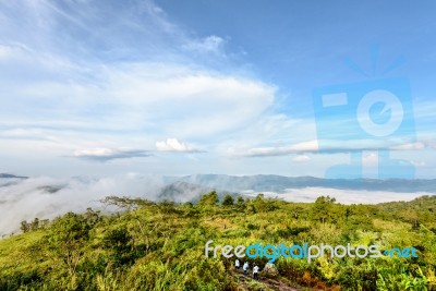 Tourists In Nature On The Mountain Stock Photo