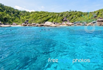 Tourists Snorkeling At The Similan Islands In Thailand Stock Photo