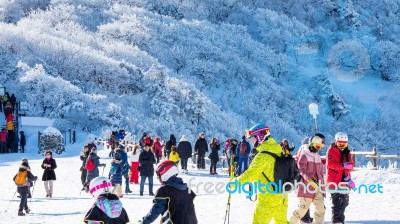 Tourists Taking Photos Of The Beautiful Scenery And Skiing Around Deogyusan,south Korea Stock Photo