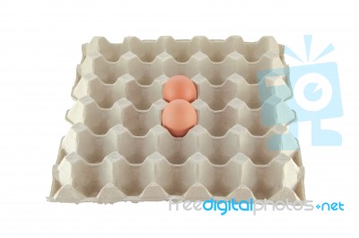 Tow Eggs In Carton On White Background Stock Photo