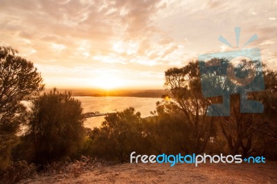 Tower Hill Wildlife Reserve Stock Photo