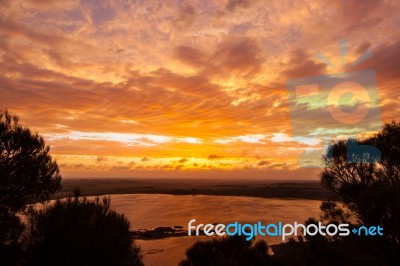 Tower Hill Wildlife Reserve Stock Photo