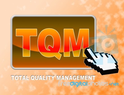 Tqm Button Indicates Total Quality Management And Control Stock Image