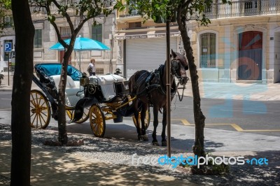 Traditional Horse And Carriage Waiting For Customers In Malaga Stock Photo