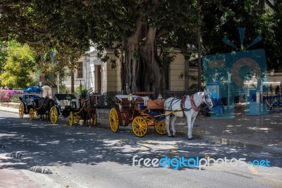 Traditional Horses And Carriages Waiting For Customers In Malaga… Stock Photo