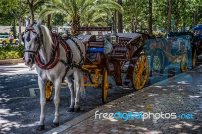 Traditional Horses And Carriages Waiting For Customers In Malaga… Stock Photo