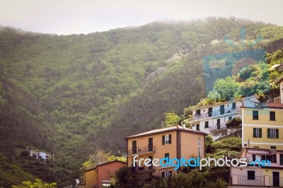 Traditional Italian Houses In Vernazza Stock Photo