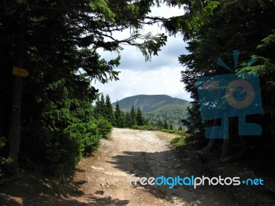 Trail In The Mountains Stara Planina, Bulgaria Stock Photo