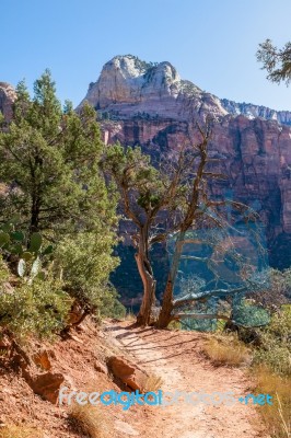 Trail Through The Virgin River Valley Stock Photo