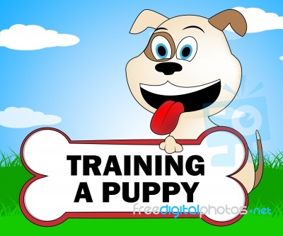 Training A Puppy Represents Trainer Instruction And Coach Stock Image