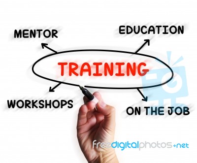 Training Diagram Displays Mentorship Education And Job Preparati… Stock Image