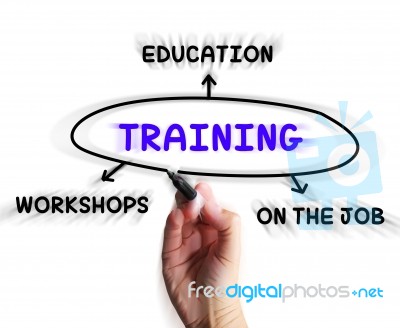 Training Diagram Displays Workshops Groundwork And Educating Stock Image