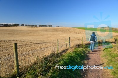 Traveler Is Walking On Country Road Stock Photo