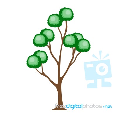 Tree Stock Image