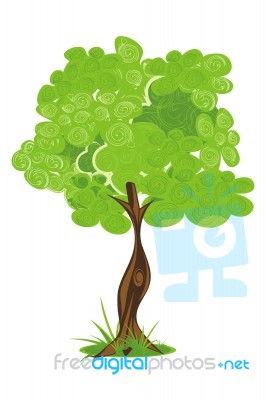 Tree Stock Image