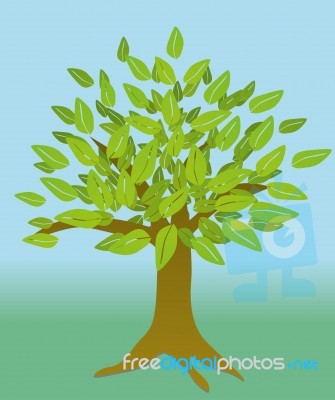 Tree Stock Image