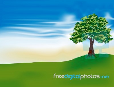 Tree Stock Image