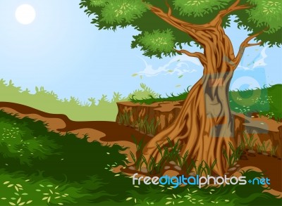 Tree And Nature Stock Image