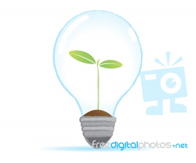 Tree Bulb Lamp Stock Image