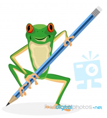 Tree Frog Stock Image