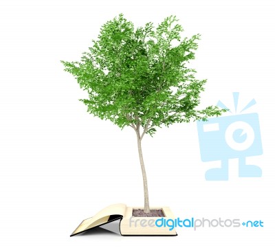 Tree Growing From The Old Book. Knowledge Growth From Education Concept Stock Image