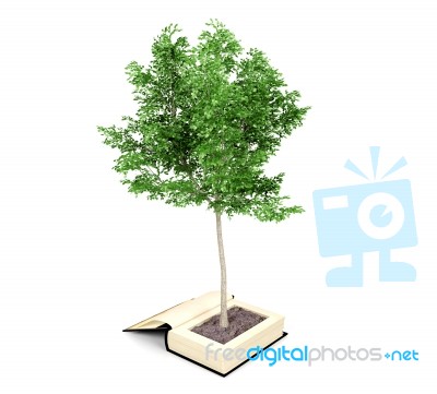 Tree Growing From The Old Book. Reading Develops Imagination. Knowledge Growth From Education Concept, 3d Rendering Stock Image