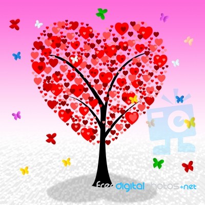 Tree Hearts Indicates Valentine's Day And Affection Stock Image