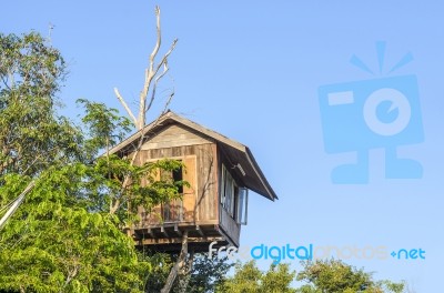 Tree House Stock Photo