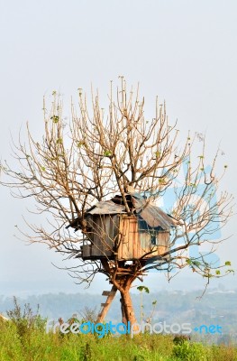 Tree House Stock Photo