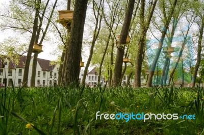 Tree Houses In The Beguinage (begijnhof) In Bruges Stock Photo