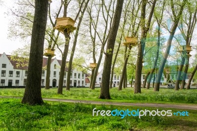 Tree Houses In The Beguinage Garden, Bruges Stock Photo