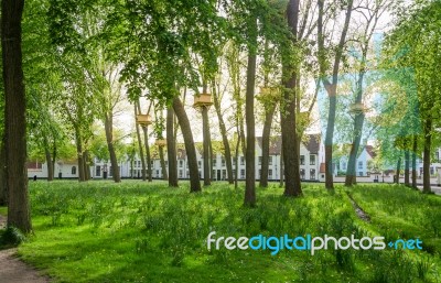 Tree Houses In The Beguinage Garden In Bruges Stock Photo