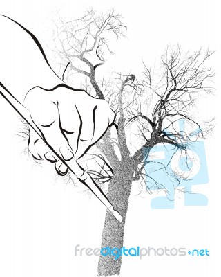 Tree Illustration Pen Stock Image