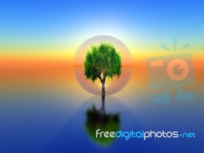 Tree In A Bubble Stock Photo