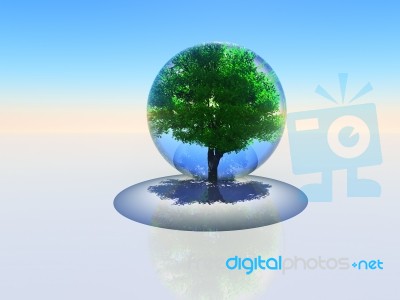 Tree In A Bubble Stock Photo