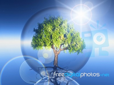 Tree In A Bubble Stock Image