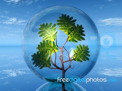 Tree In A Bubble Stock Image