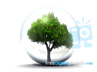 Tree In A Bubble Stock Image