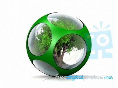 Tree In A Bubble Of Glass And Metal Stock Image