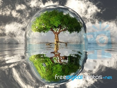 Tree In Bubble Stock Image