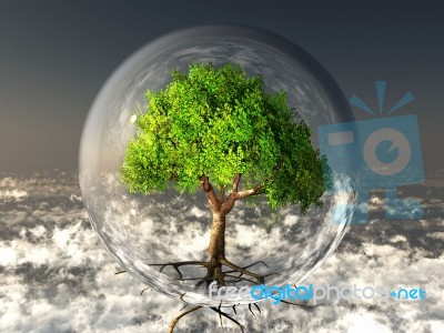 Tree In Bubble Stock Image