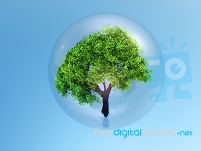 Tree In Bubble Stock Image