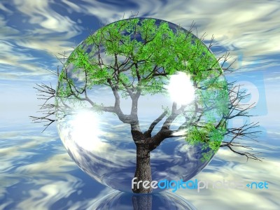 Tree In Bubble Stock Image