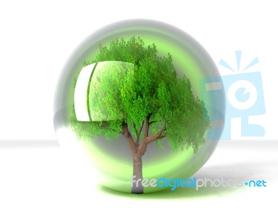 Tree In Bubble Stock Image