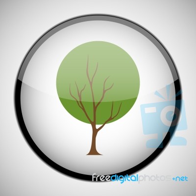 Tree In Circle Frame. Icon Concept Stock Image