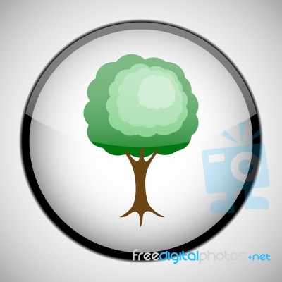 Tree In Circle Frame. Icon Concept Stock Image