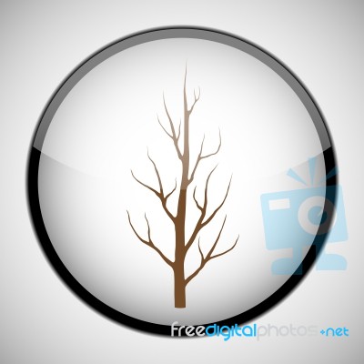 Tree In Circle Frame. Icon Concept Stock Image